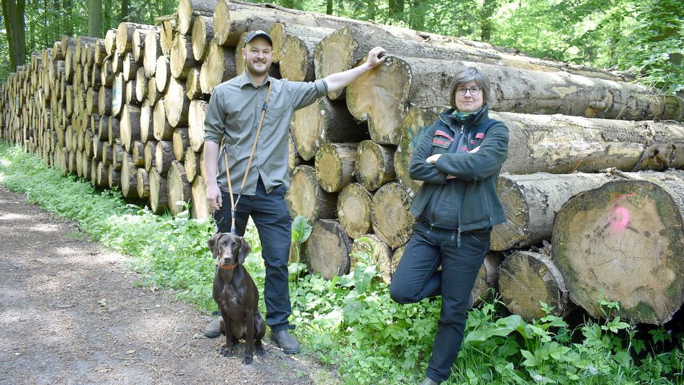 Revierförster Jan Fiddy Winkelhake mit Deutsch-Kurzhaar-Hündin Skinka sowie Wiebeke Schmidt, Pressesprecherin West der Landesforsten Niedersachsen, stehen vor einem Holzpolter mit sortiertem Rundholz, das für den Verkauf freigegeben ist. Foto: Manfred Hochmann