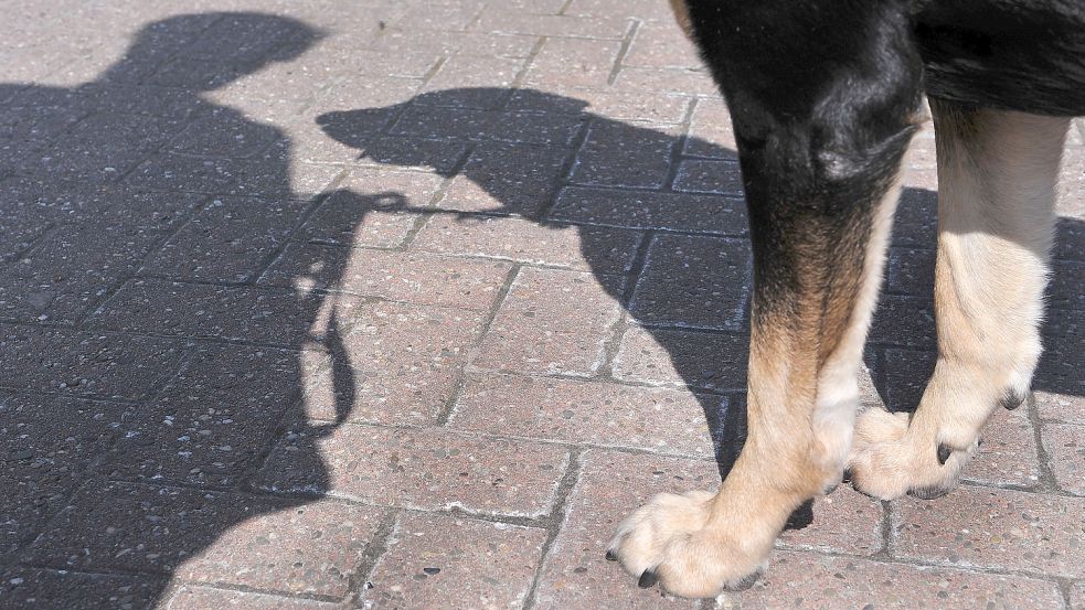 Hund und Halter sollen im Lauf ihres gemeinsamen Lebens eine Einheit werden. Der Weg dahin ist steinig. Foto: Archiv/Ortgies