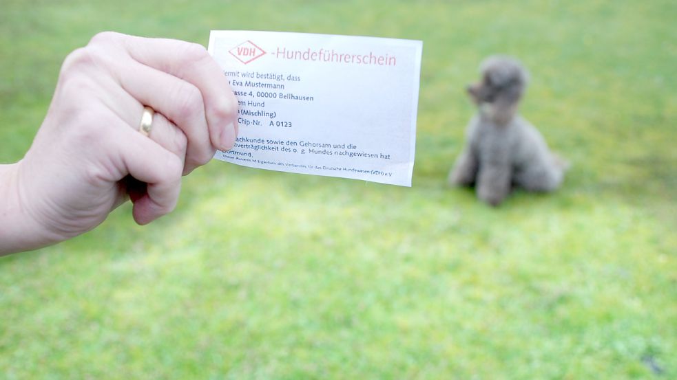 Der Hundeführerschein ist in Niedersachsen vor zehn Jahren eingeführt worden. Foto: Archiv/privat