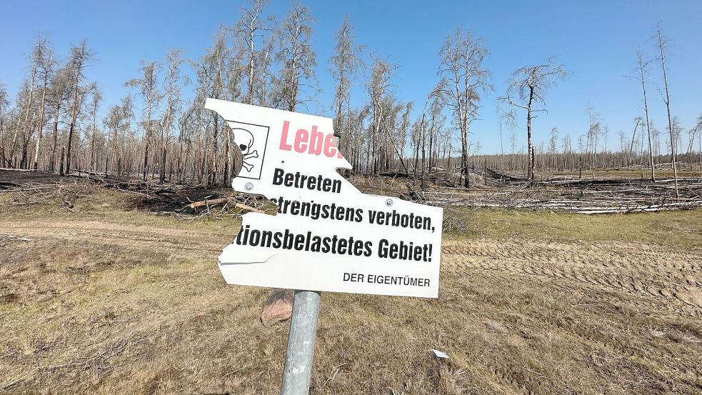 Munitionsreste haben in Lübtheen einen großen Waldbrand verursacht. Foto: Steven Hutchings/TNN/dpa