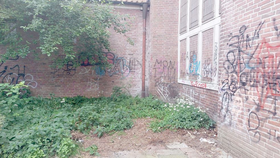 Nicht nur Müll, sondern auch Graffitis sind ein Problem. Foto: Hanssen