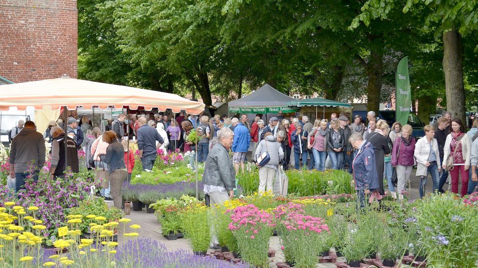 Der Norder Rosenmarkt zieht jedes Jahre viele Besucher an. Foto: Stadtverwaltung Norden