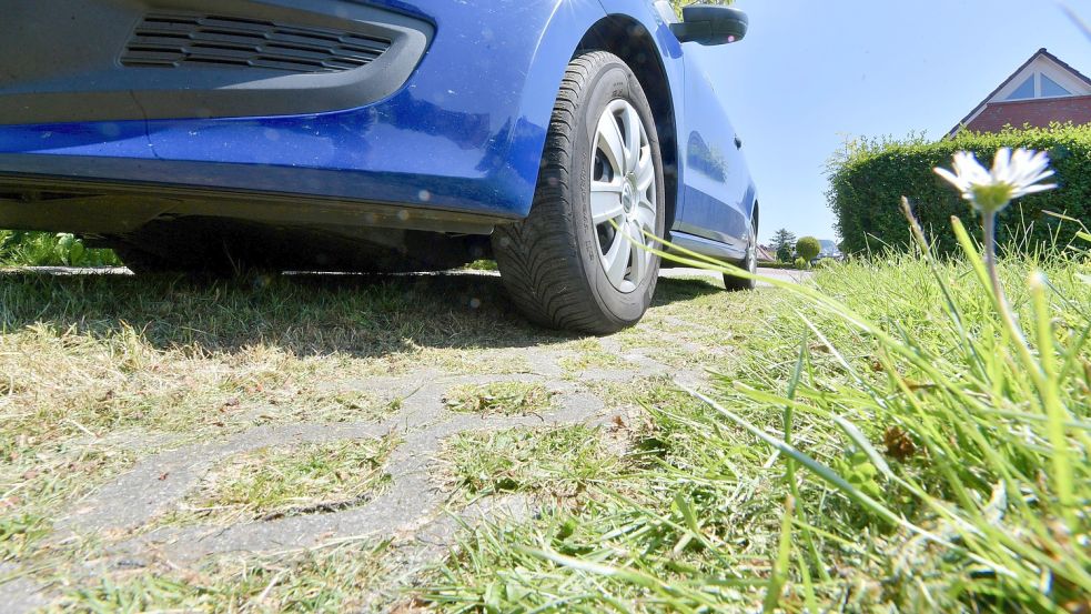 Durch Rasengittersteine wächst das Gras, das Auto steht trotzdem auf festem Boden. Das kann unter Umständen sogar finanzielle Vorteile bringen. Foto: Ortgies