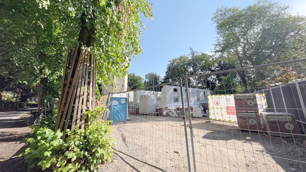 Die Straßenbäume sind bei diesem Bauprojekt an der Eschener Allee gut geschützt.