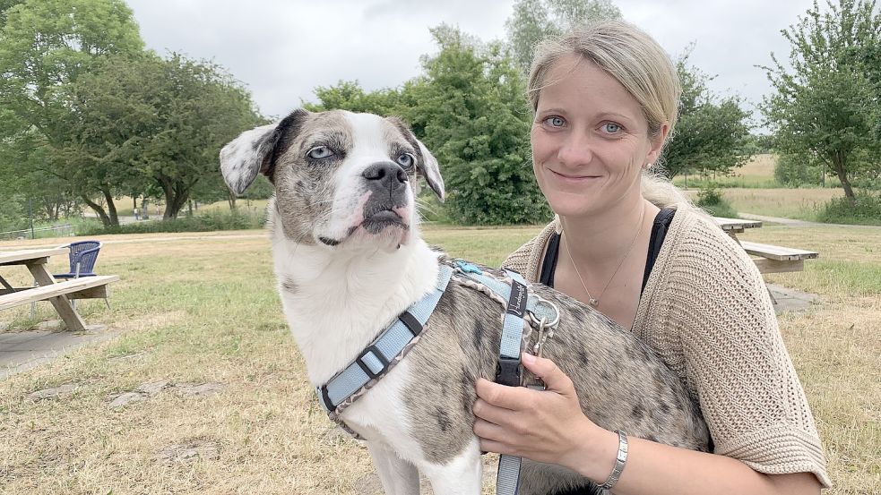 Gyde Lorenzen wusste sofort, dass Blue, die süße Mischung aus französischer Bulldogge und Australian Shepherd, die richtige Hündin für sie ist. Foto: Antje Walther