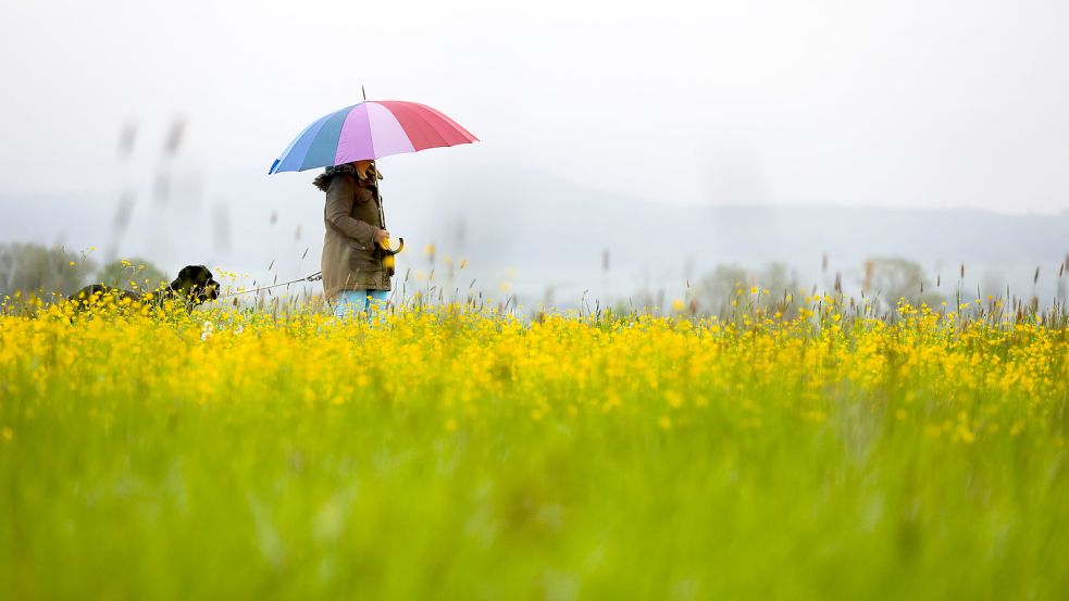 Diese Woche sollte man in Niedersachsen zur Sicherheit immer einen Regenschirm dabei haben. Foto: picture alliance/dpa/Thomas Warnack