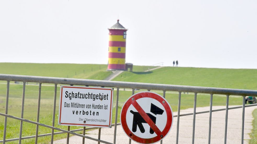 Am Pilsumer Leuchtturm sind Hunde tabu. Foto: Wagenaar