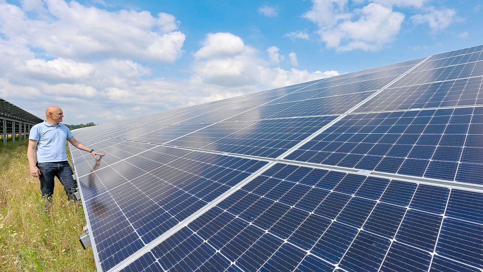 In Solarparks wird Strom aus Sonnenenergie produziert. Foto: Pleul/DPA