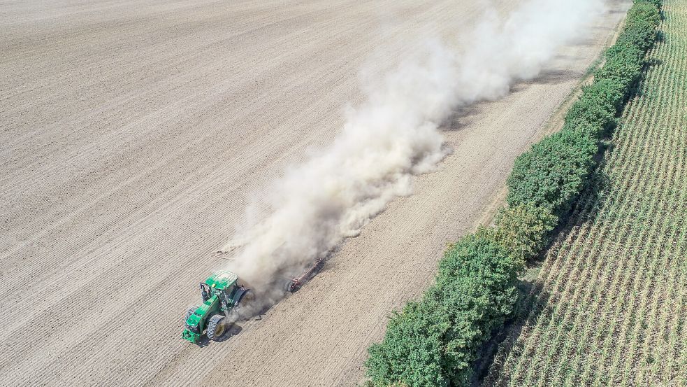 Die ersten Wochen im Juni waren in diesem Jahr in der Region viel zu trocken. Foto: Patrick Pleul/dpa