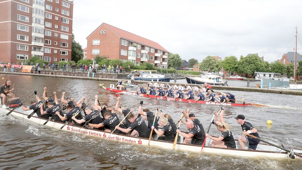 Rund 600 Paddler treten beim Drachenbootrennen der Sparkasse Emden an. Foto: Hock