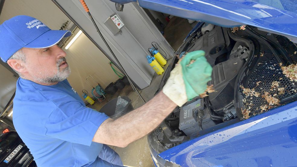 Ein Blick unter die Motorhaube ist ratsam, wenn man unter Bäumen geparkt hat. Foto: Ortgies