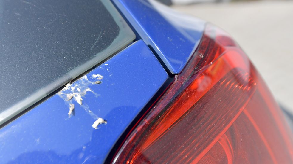Der Feind des Lacks: Vogeldreck. Foto: Ortgies