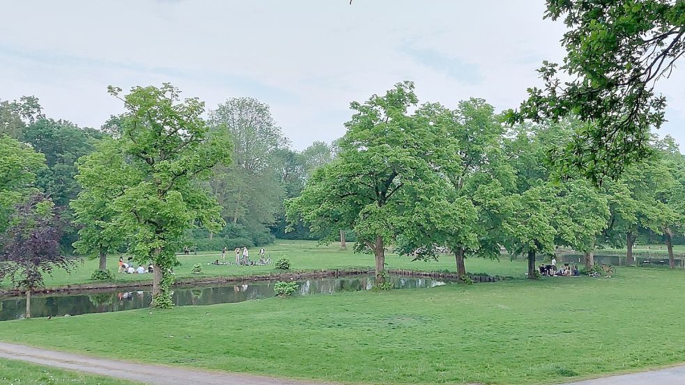 Der Schwanenteich-Park ist ein beliebter Treffpunkt. Foto: Hanssen/Archiv