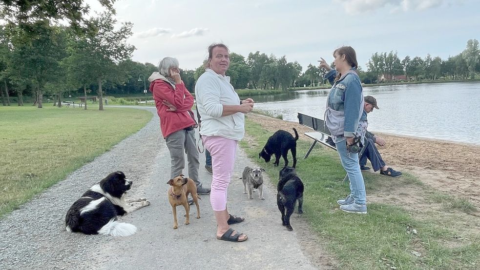 Am Dienstagabend gab es zwischen den Hunden am Ihler Meer keine Konflikte, im Gegenteil. Fotos: Boschbach