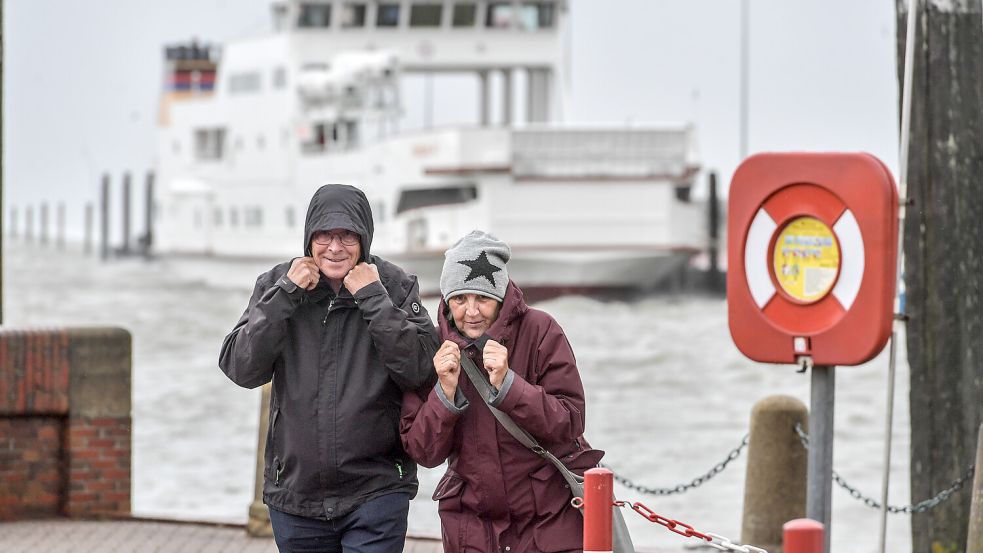 Starke Böen wehten am Mittwoch durch Ostfriesland. Foto: Ortgies