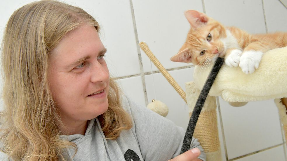 Silke Heilig kümmert sich im Tierheim Stapelmoor auch um die Versorgung der Kätzchen. Auch spielen gehört dazu. Foto: Ortgies