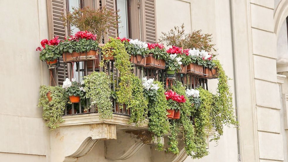 Auch auf der kleinsten Fläche ist Platz für Grün - wie hier auf einem Balkon. Foto: Pixabay