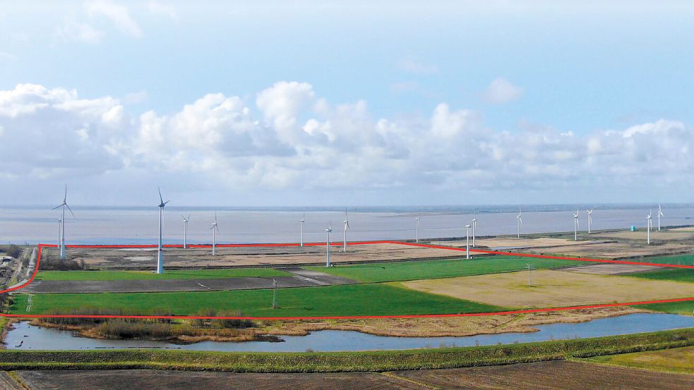 Um etwa den Bereich geht es beim Wybelsumer Polder. Foto: N-Ports