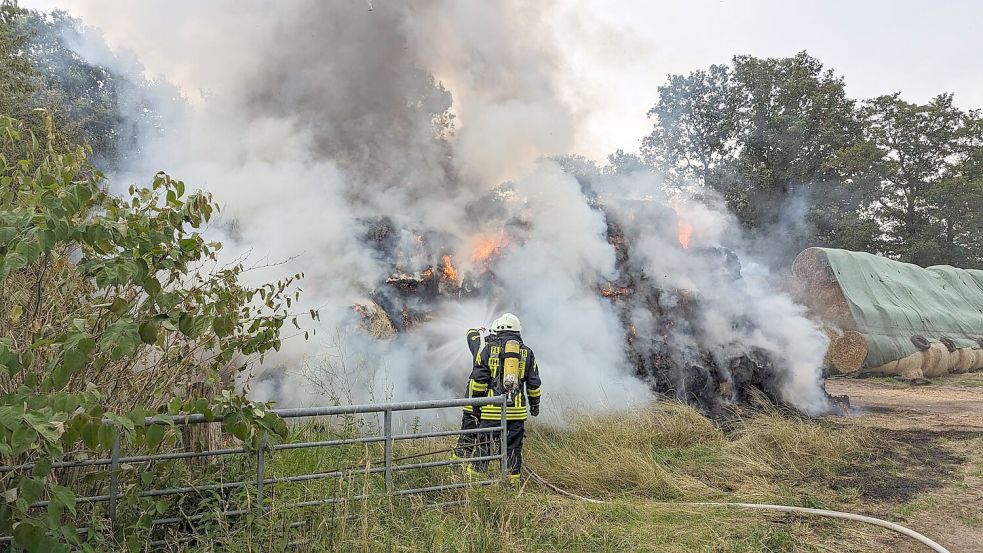 Auf einer freien Fläche bei einem Bauernhof in Großwolde standen am Sonntagnachmittag rund 350 Rundballen in Brand. Foto: Feuerwehr/Bruns