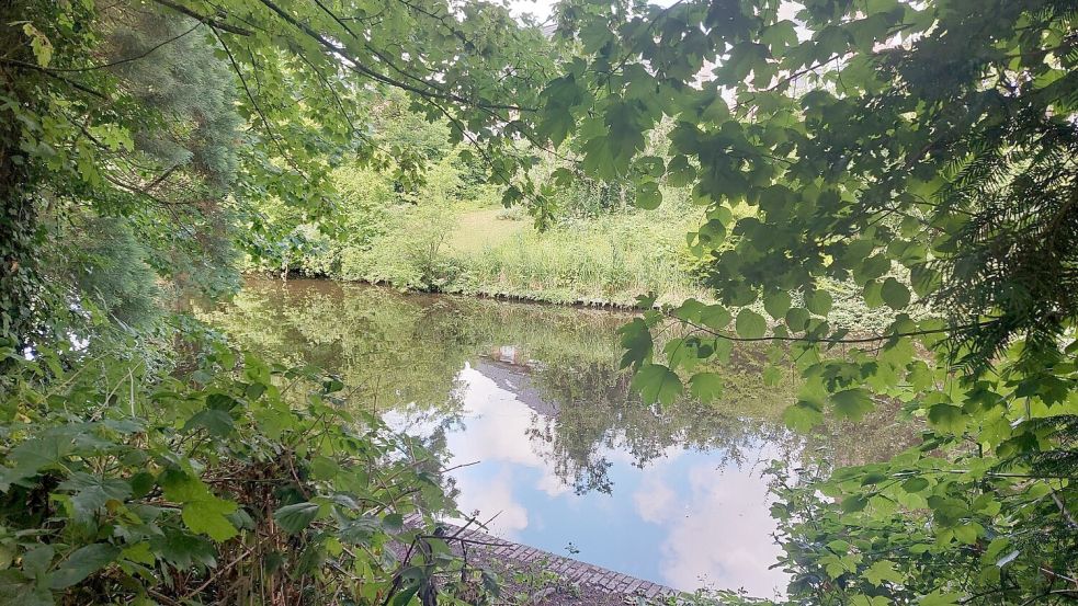 Am Wasser könnte man schön sitzen und sich entspannen. Die Fehler einiger machen das aber vielleicht für alle unmöglich in Zukunft. Bei Müllsammelaktionen zu Wasser fand sich zuletzt häufig viel Abfall in dem Bereich. Foto: Hanssen