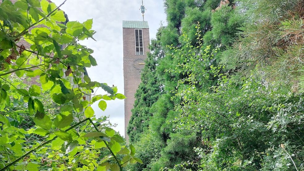 Ein grünes Idyll zwischen Martin-Luther-Kirche und Stadtgraben - eigentlich. Weil sich ein paar Leute nicht an die Regeln halten, könnte der Bereich langfristig gesperrt sein. Foto: Hanssen