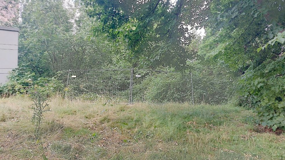 Die Zäune von diesem Seitenzugang zum Pfad an der Kirche waren im Kanal gelandet. Foto: Hanssen