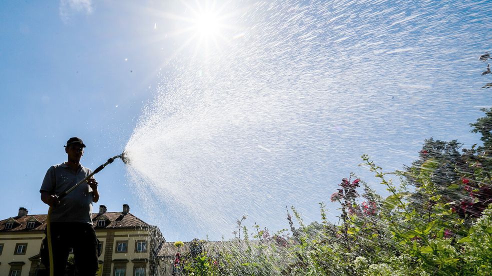 Bei Trockenheit im Sommer kommt der Gartenschlauch zum Einsatz. Hier ein Bild aus den Herrenhäuser Gärten in Hannover. Foto: Stratenschulte/dpa