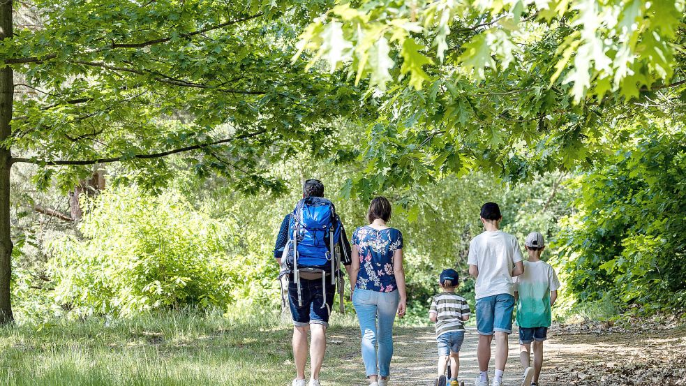 Im Wald treffen sich vornehmlich weiße Menschen, so die Beobachtung der Aktivisten. Foto: dpa/Frank Hammerschmidt