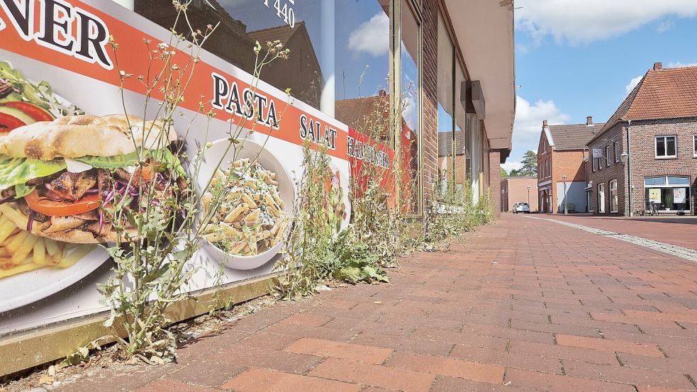 Pasta, Döner und Salat gibt es hier nicht mehr. Dafür wuchert das Unkraut. Foto: Gettkowski