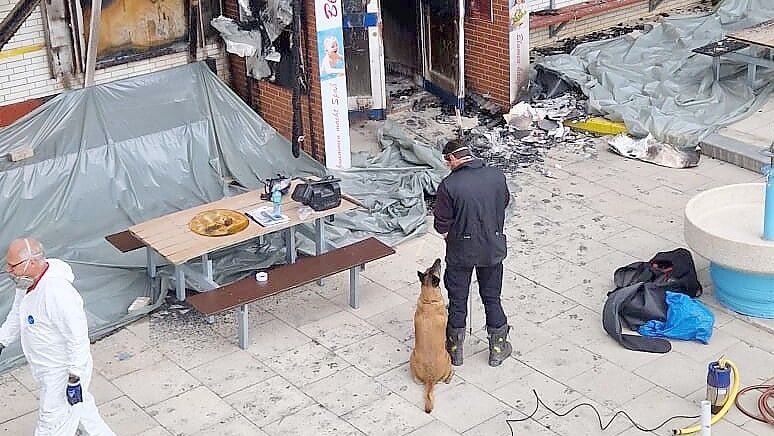 Ein darauf trainierter Spürhund sollte in dem Brandschutt Reste von Brandbeschleunigern aufspüren.