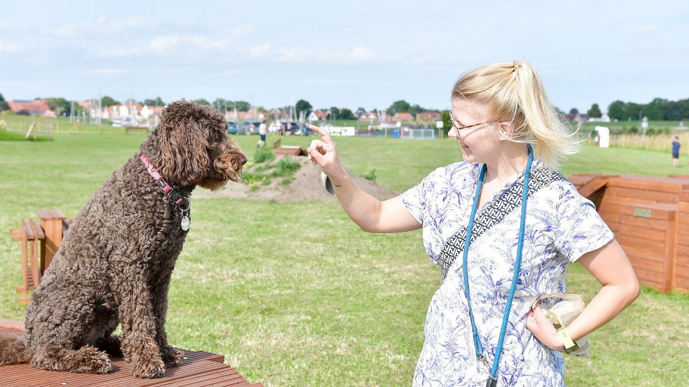 Sitz! Das klappt mit Labradoodle-Hündin Josy sehr gut.