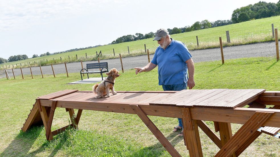Mit den Spielgeräten auf dem neuen Hundeplatz kann man den Gehorsam üben. Man sollte aber die Grenzen der Hunde respektieren.