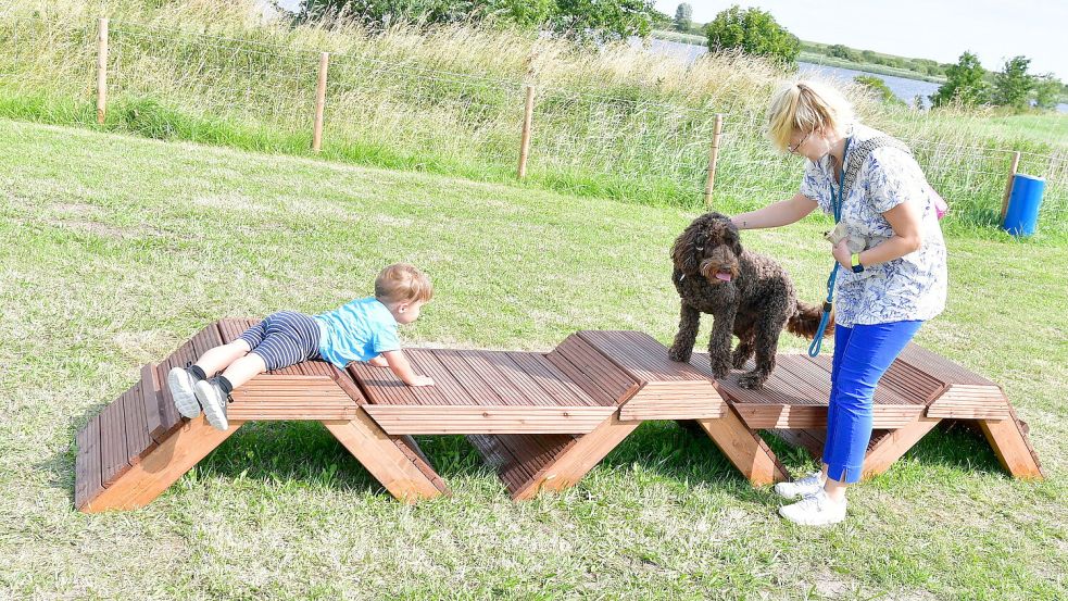 Der kleine Ben liebt Hunde und klettert auf das Spielgerät, um Hündin Josy "Hallo" zu sagen.