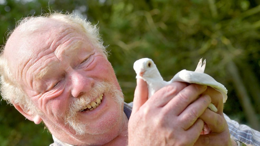 Rudi Günnel aus Südbrookmerland hat statt einem Ostfriesischen Silbermöwen Huhn ein Altorientalisches Mövchen mitgebracht. Das Huhn war in der Mauser, da musste die Taube einspringen. Foto: Ortgies