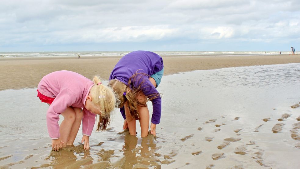 Jemgum gehört nun offiziell zur Biosphärenregion Niedersächsisches Wattenmeer. Foto: Pixabay