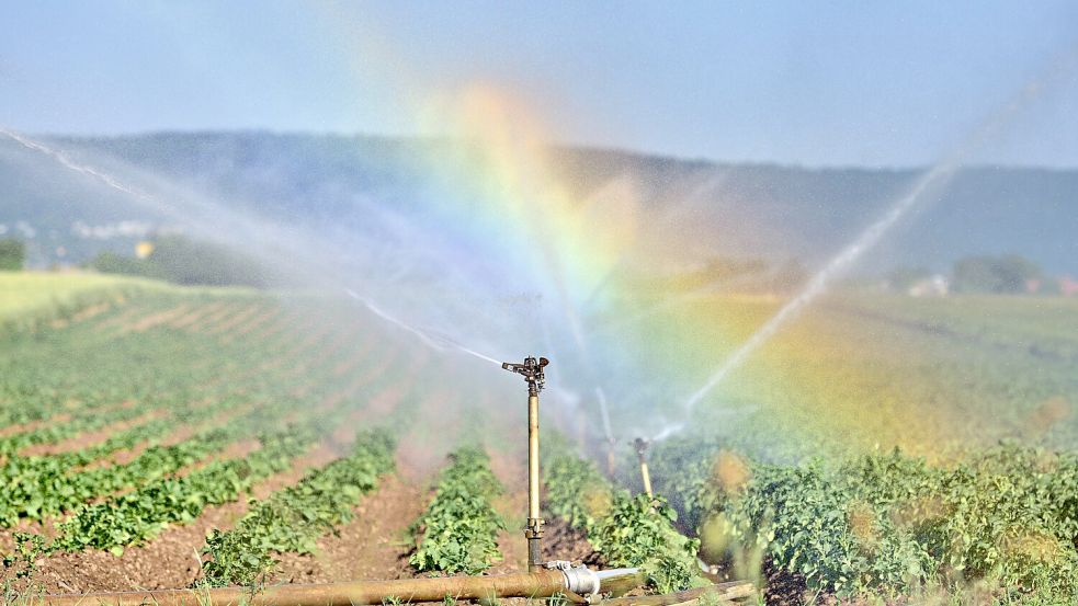 Bewässerungsanlagen, wie diese bei Heidelberg, sind an vielen Orten in Norddeutschland in diesem Sommer verboten. Foto: www.imago-images.de