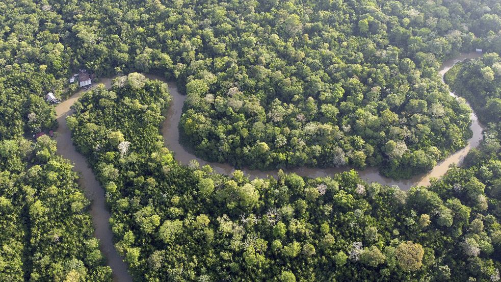 Vor «Amazonasgipfel» in Brasilien Foto: AP