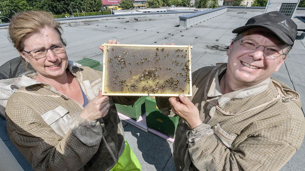 Das gemeinsame Hobby hat die Imker Rudolf und Karin Bogena auf das Auricher Kinodach gebracht. Foto: Ortgies