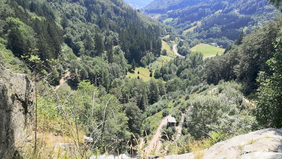 Die Tschentschers haben es von ihrer Heimatstadt Freiburg nicht weit bis in die herrlichen Naturlandlandschaften des Schwarzwalds. Bis zum Kaiserstuhl sind es nur zehn Kilometer. Foto: Privat