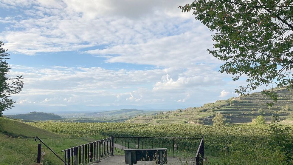 In der Heimat der Familie Tschentscher im Breisgau ist von Bergen und Hügeln geprägt. Dort wird auch viel Wein angebaut. Foto: Privat