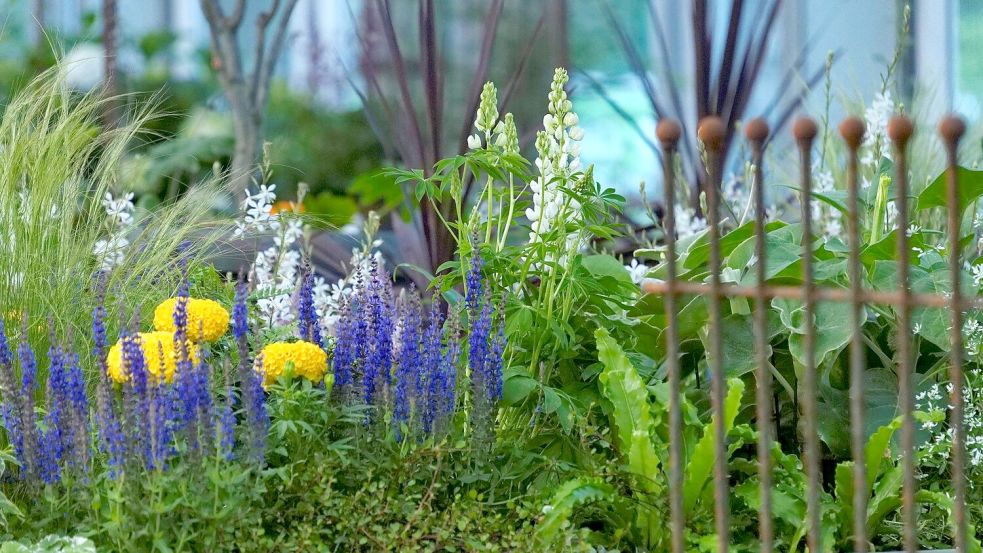 Auf der Landesgartenschau in Bad Gandersheim werden schöne Farb- und Pflanzenkombinationen präsentiert. Foto: LAGA/Terhorst