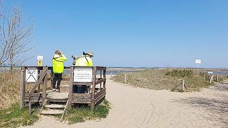Ein Urlaub auf der Insel Poel ist vor allem für Naturfreunde, die Ruhe suchen und ein Erlebnis. Foto: Dörte Rahming