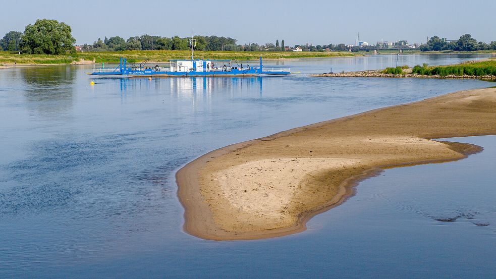 Die Elbe hat wie hier in Magdeburg fast überall im Sommer mit niedrigen Pegelständen zu kämpfen Foto: Klaus-Dietmar Gabbert/dpa