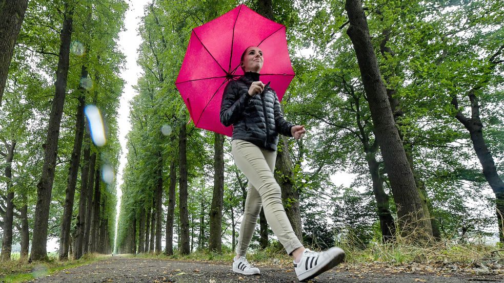 Der Sommer zuletzt auch Regen im Angebot. Foto: Ortgies