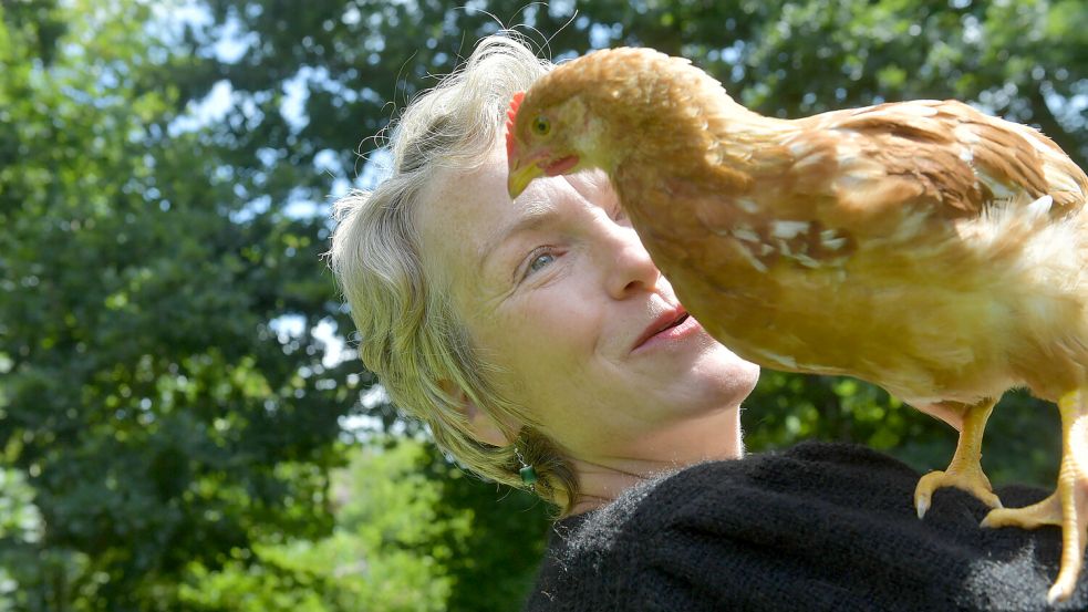 Dieses junge Huhn ist sehr zutraulich. Foto: Ortgies