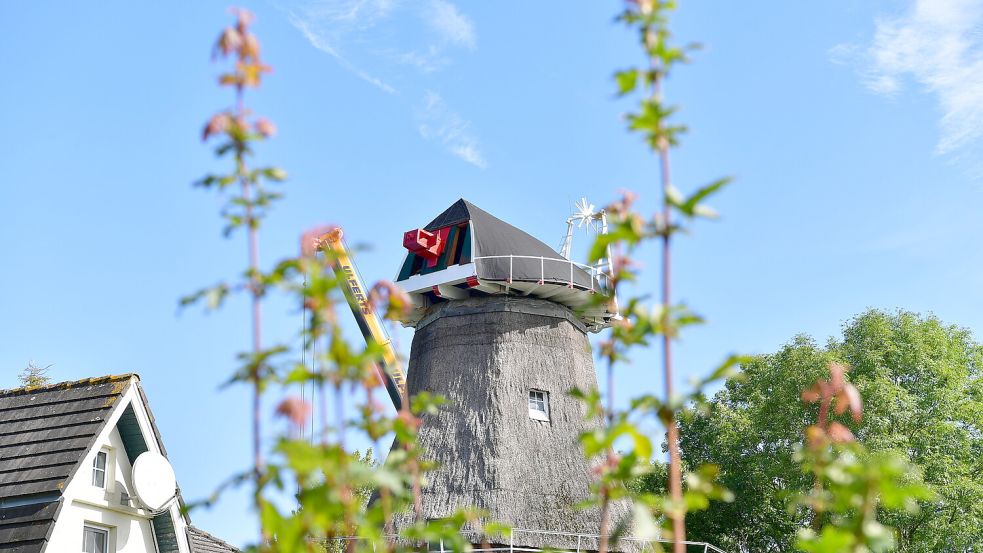 Wieder an Ort und Stelle: Die Kappe der Mühle in Uttum. Foto: Wagenaar