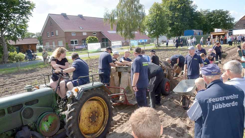 In Jübberde werden wieder Kartoffeln aus der Erde geholt. Foto: Lehmann/Archiv