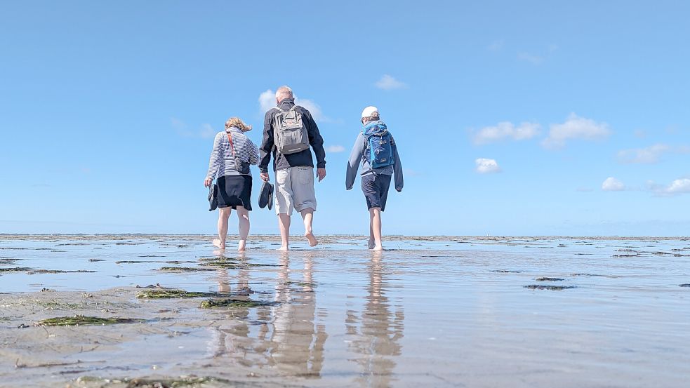 Auf Föhr werden nur bekleidete Wattwanderungen angeboten. Foto: Jan Melchior Bonacker