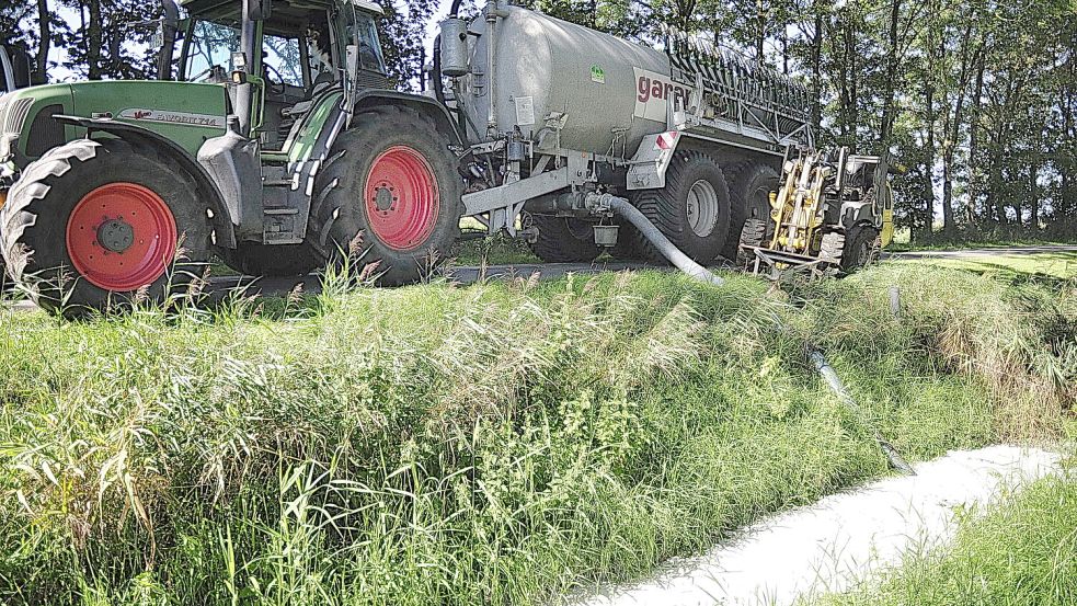 Der Graben war weiß gefärbt vor lauter Milch. Foto: Wolters