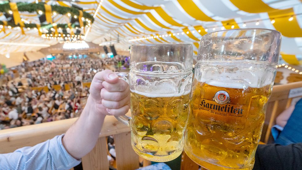 Für viele gehört Bier zu Partys einfach dazu. Forscher kritisieren vor allem den regelmäßigen Konsum. Foto: dpa/Armin Weigel